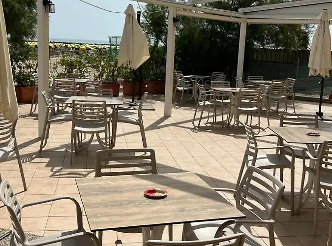 Gabbiano Sul Mare Nuova Gestione Hotel 3*