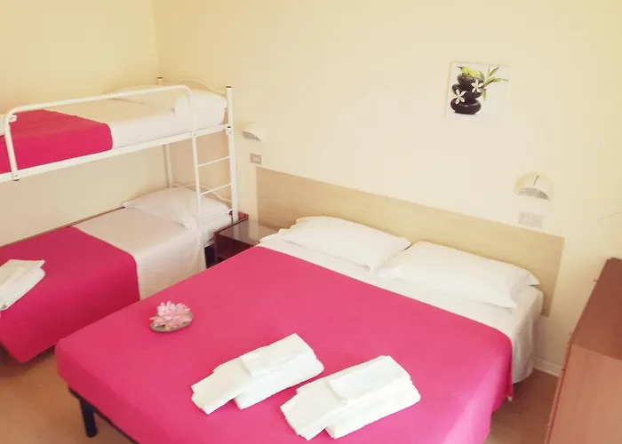 Gabbiano Sul Mare Nuova Gestione