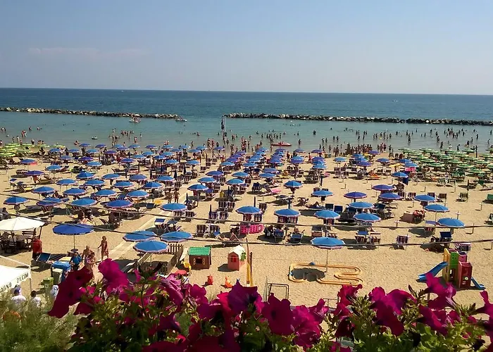 Gabbiano Sul Mare Nuova Gestione