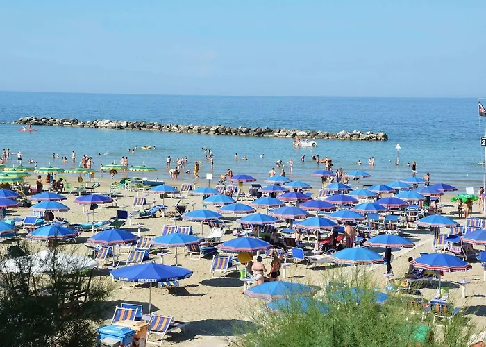 Hotel Gabbiano Sul Mare Nuova Gestione 3*