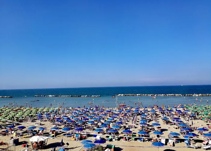 Gabbiano Sul Mare Nuova Gestione 3* Bellaria-Igea Marina
