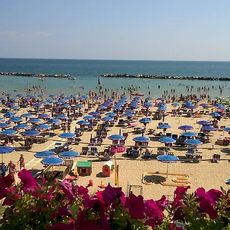 Gabbiano Sul Mare Nuova Gestione