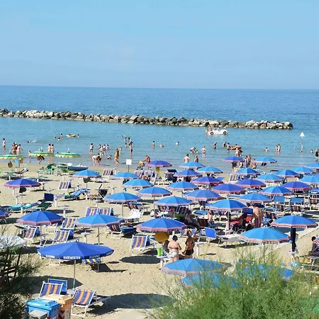 Hotel Gabbiano Sul Mare Nuova Gestione 3*